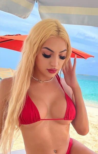 biscaynebarbie