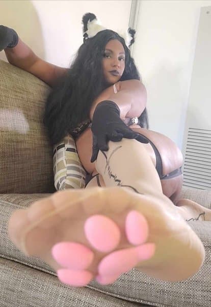 tigolebittyviciouskitty