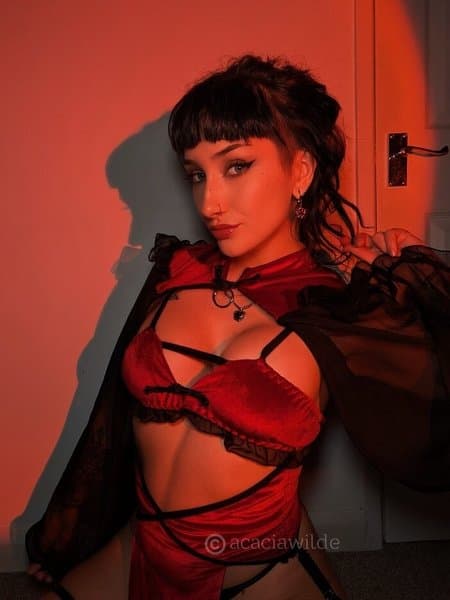 acaciawilde